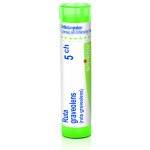 RUTA GRAVEOLENS POR 5CH GRA 4G – Hledejceny.cz