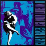 Guns 'N' Roses - Delusional II - Remastered LP – Hledejceny.cz