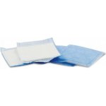 Kompres AB 10 x 20cm nesterilní 50 ks – Zboží Dáma