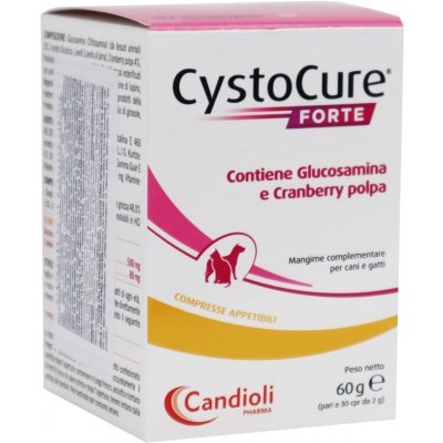Instituto farm. Candioli S.p.A Cystocure forte 30 tbl – Hledejceny.cz