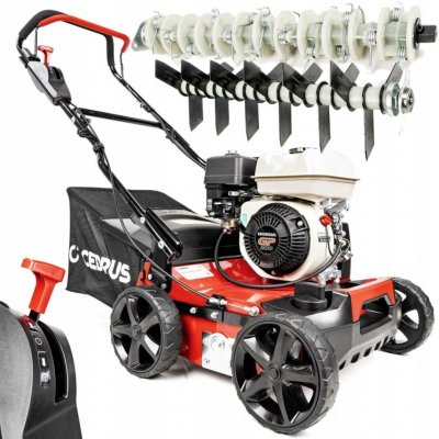 Cedrus WR01-H – Zboží Mobilmania