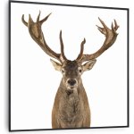 Klarstein Wonderwall Air Art Smart 350 W – Sleviste.cz