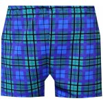 Foltýn dětské trenýrky DT114 – Zboží Dáma