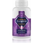 Altervet Cartilan MSM+kurkumin Mega 300 tbl – Zboží Mobilmania