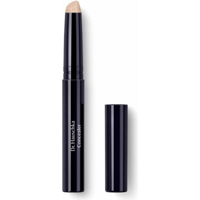 Dr. Hauschka Decorative Korektor 02 Chesnut 2,5 ml – Zboží Mobilmania