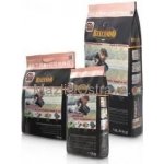 Belcando Adult Dog Finest Grain Free XS-M Salmon 12,5 kg – Sleviste.cz