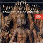 Schola Gregoriana Pragensis - Ach, homo fragilis CD – Sleviste.cz