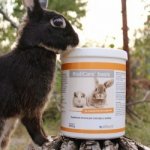 Alfavet RodiCare Basic 1 kg – Zboží Mobilmania