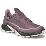 Salomon Alphacross 5 GTX W L47311000 moonscape/black/white – Zboží Dáma