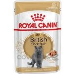 Royal Canin British Shorhair 85 g – Zboží Mobilmania