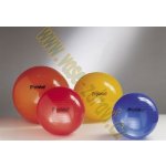 Ledragomma Physioball Standard 95 cm – Zboží Mobilmania