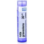 RUTA GRAVEOLENS POR 30CH GRA 4G – Hledejceny.cz