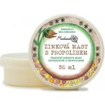 Medarek Zinková mast s propolisem 50 ml – Zboží Dáma
