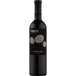 Thaya Premium Zweigeltrebe 2022 Červené 12,5% 0,75 l (holá láhev) – Hledejceny.cz