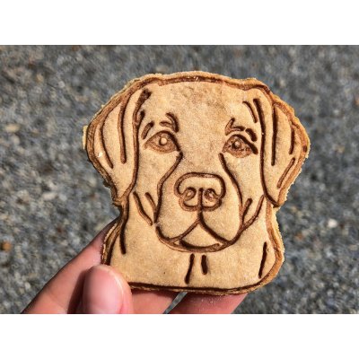 TVOŘÍTKO Labrador XIII - vykrajovátko – Hledejceny.cz