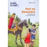 Past na Alexandra – Hledejceny.cz