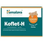 Himalaya Koflet H Ginger 12 pastilek – Hledejceny.cz