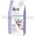 Brit Veterinary Diets Cat GF Gastrointestinal 5 kg – Hledejceny.cz