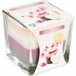 Bispol Aura Spa Garden 170 g – Sleviste.cz