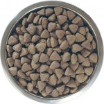 Pro Plan Large Adult Athletic Everyday Nutrition kuře 14 kg – Hledejceny.cz