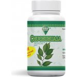 Oro Verde Chuchuhuasa Chuchuhuasi 350 mg 100 kapslí – Hledejceny.cz