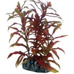 Hobby Nesaea 13 cm umělá – Zboží Mobilmania