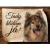 Autovýbava Sport hobby Cedulka Eurasier II Tady hlídám já CP551 15 x 11 cm