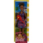 Barbie první povolání Tenistka – Hledejceny.cz