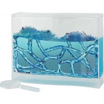 040801/7698 Mravenčí farma antquarium – Zboží Dáma