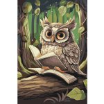 MALUJEŠ Malování podle čísel SOVA S KNIHAMI Rozměr 40 x 60 cm Rámování vypnuté plátno na rám – Zboží Dáma