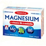 Terezia Magnesium + vitamin B6 a meduňka 30 kapslí – Hledejceny.cz