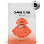 Coffee Plant Itumpi od Tanzania praná zrnková 250 g – Hledejceny.cz