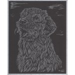 SMT Creatoys Vyškrabovací obrázek stříbrný 20x25 cm Pes – Zboží Dáma