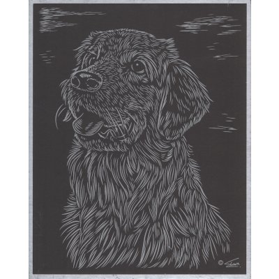 SMT Creatoys Vyškrabovací obrázek stříbrný 20x25 cm Pes – Zboží Dáma