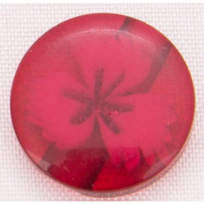 Knoflík 14 mm průhledný s kytkou Varianta: 15 – Hledejceny.cz