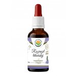 Salvia Paradise Rozrazil lékařský AF tinktura 50 ml – Hledejceny.cz