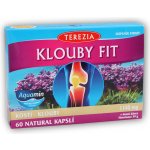 Terezia Company Klouby fit 60 kapslí – Hledejceny.cz
