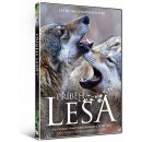 Příběh lesa DVD