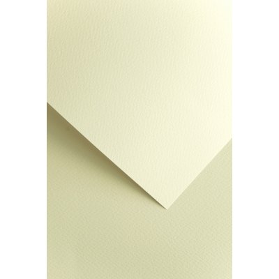 ozdobný papír Florida ivory 220 g 20ks – Sleviste.cz