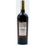 Villa Yambol Cabernet Sauvignon červená 2023 13,5% 0,75 l (holá láhev) – Hledejceny.cz