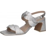 CAPRICe stříbrné – Sleviste.cz