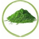 Dromy Chlorella 500 g – Zboží Mobilmania