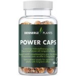 Dennerle Plant Care Pro Daily 100 ml – Hledejceny.cz