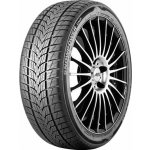 Tristar Snowpower UHP 215/45 R16 90V – Hledejceny.cz