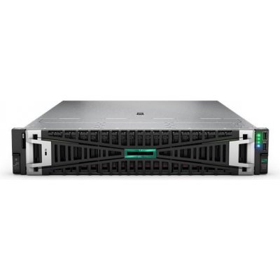 HPE PL DL385g11 AMD EPYC P81843-425 – Hledejceny.cz