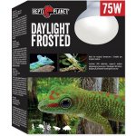 Repti Planet Daylight Frosted 75 W – Zboží Dáma
