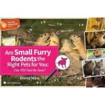 Are Small Furry Rodents the Right Pet for You – Hledejceny.cz