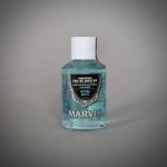 Marvis Anise Mint 120 ml – Zboží Dáma