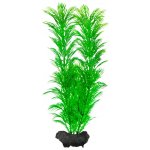 Tetra Green Cabomba 23 cm – Zbozi.Blesk.cz