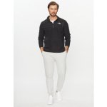 THE NORTH FACE M 100 GLACIER Hoodie TNF black – Hledejceny.cz